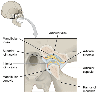 TMJ signs and symptoms