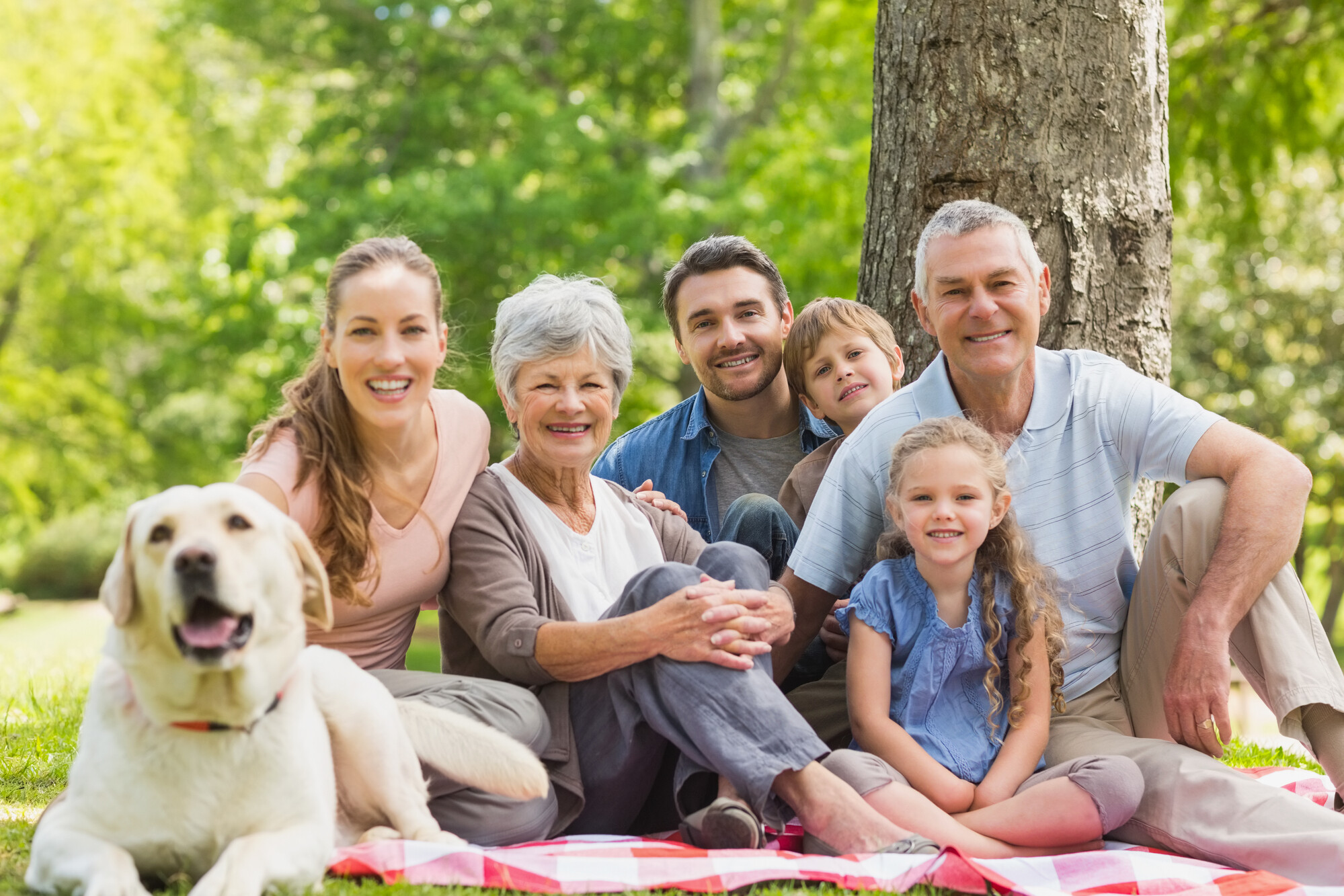 Family Enjoying Picnic South Edmonton Dentist